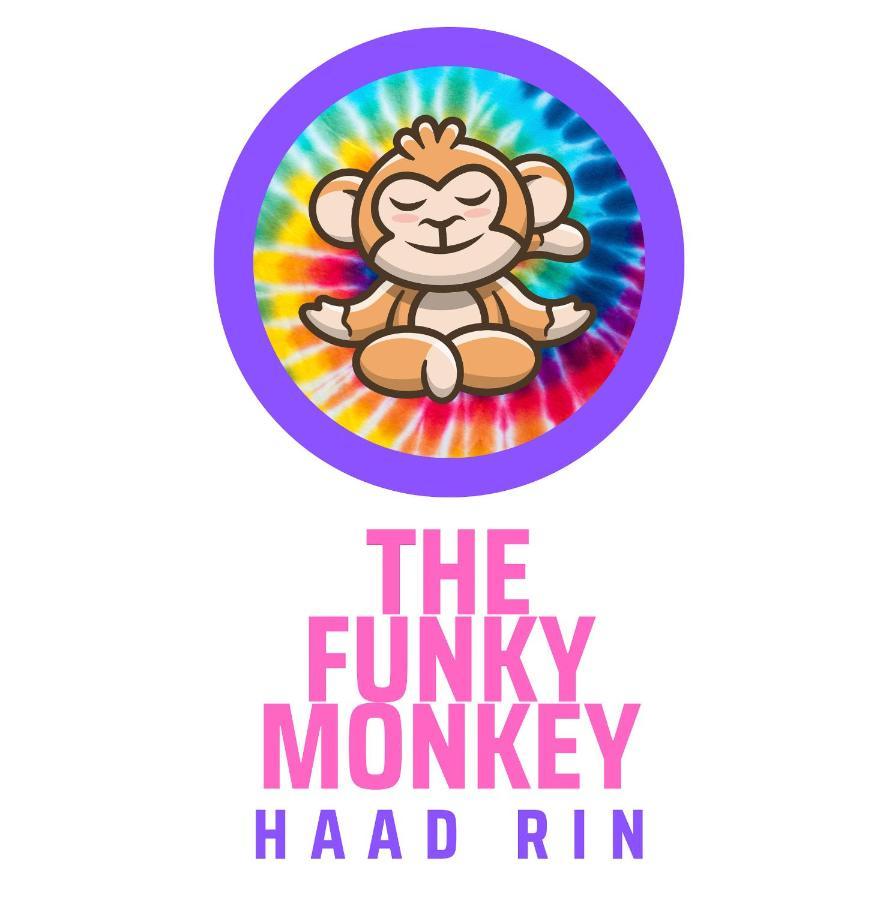 The Funky Monkey Hostel 哈林海滩 外观 照片